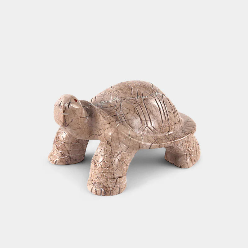 Big Turtle