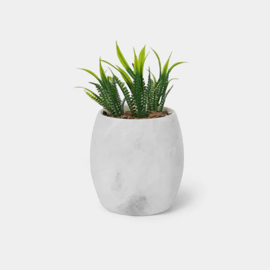Planter Pots